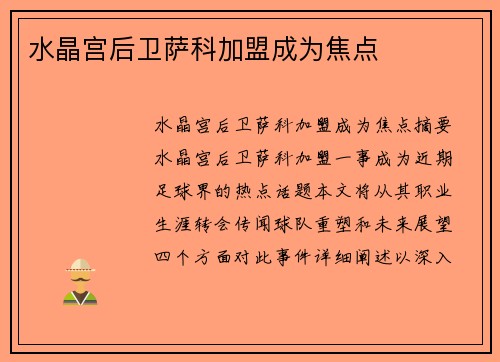 水晶宫后卫萨科加盟成为焦点